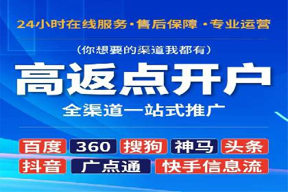 网络推广竞价策略解析与应用案例